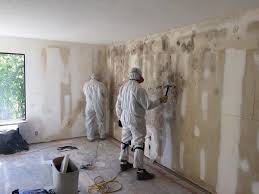 Best Asbestos and Lead Testing During Mold Inspection  in Mineola, NY